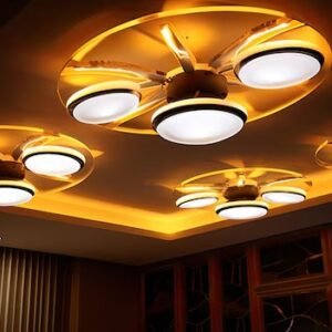 Ceiling lights